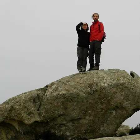 Il Cisto Marciana (Isola d'Elba)