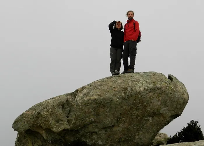 Il Cisto Marciana (Isola d'Elba)