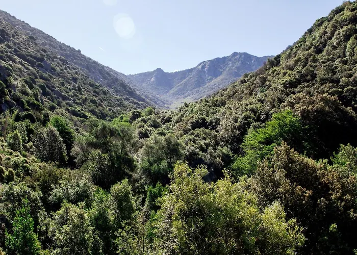 Vakantiehuis Il Cisto