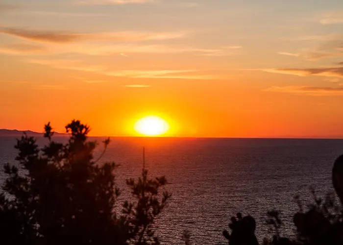 Il Cisto * Marciana (Isola d'Elba)