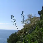 Il Cisto