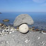 Il Cisto