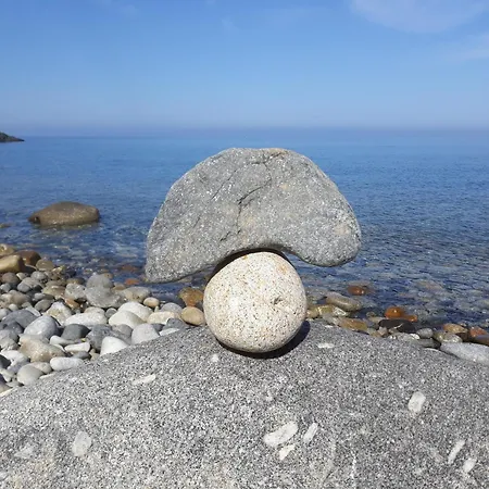Il Cisto