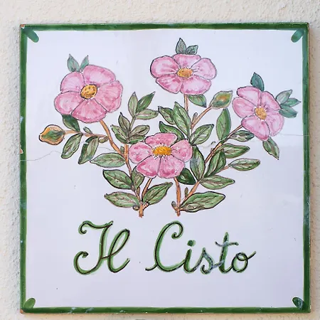 Il Cisto